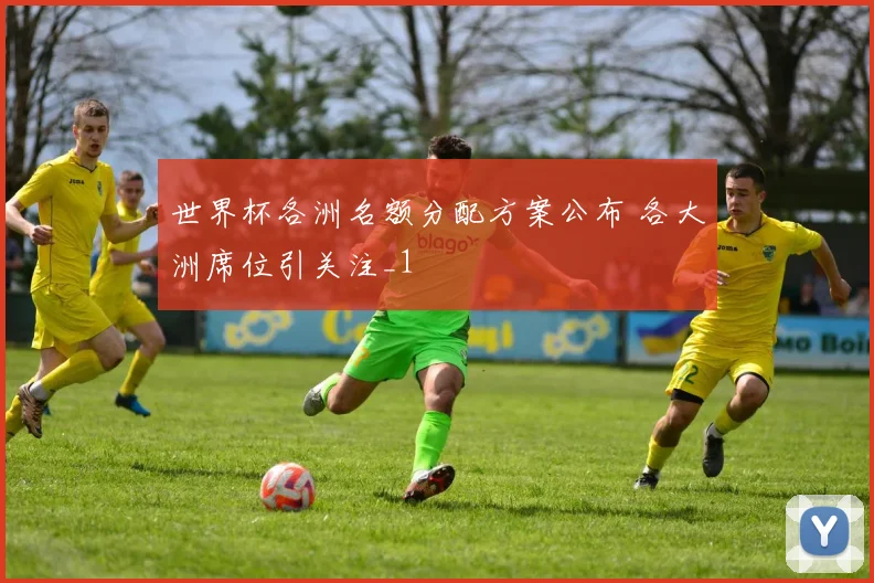 世界杯各洲名额分配方案公布 各大洲席位引关注_1