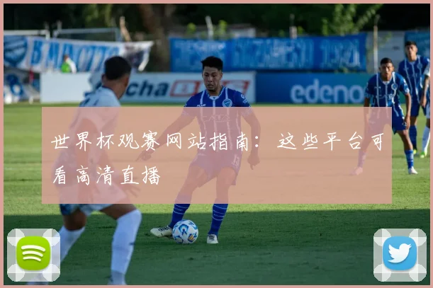 世界杯观赛网站指南:这些平台可看高清直播