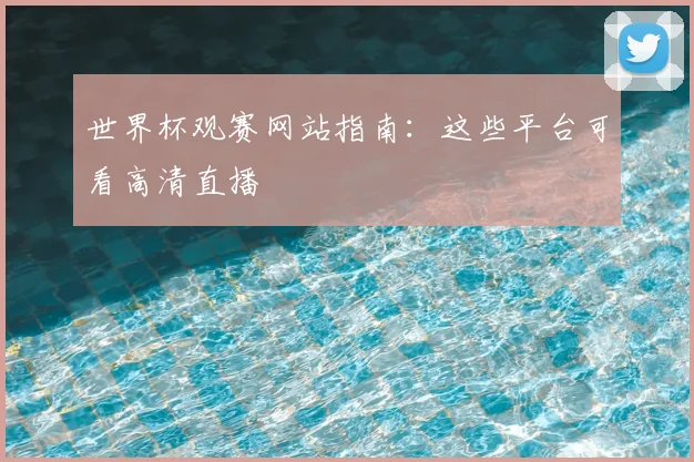 世界杯观赛网站指南:这些平台可看高清直播