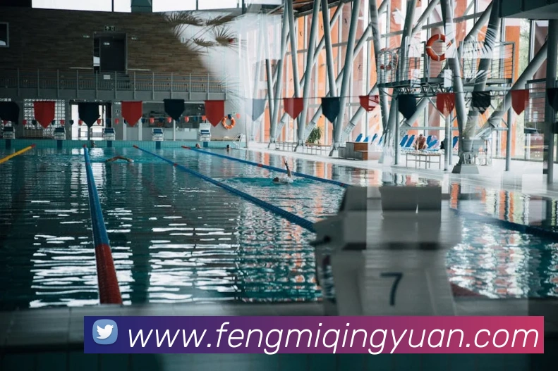 世界杯官网登录app服务体系